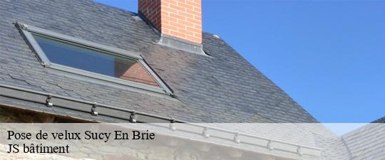 Pose de velux  sucy-en-brie-94370 JS bâtiment