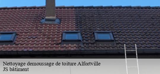 Nettoyage demoussage de toiture  alfortville-94140 JS bâtiment