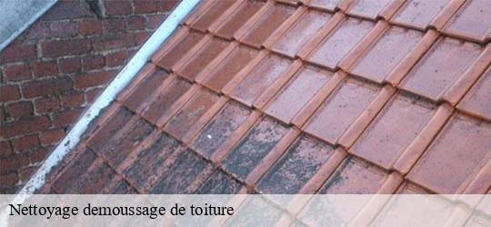 Nettoyage demoussage de toiture  bonneuil-sur-marne-94380 JS bâtiment